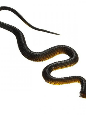 Malý gumený had